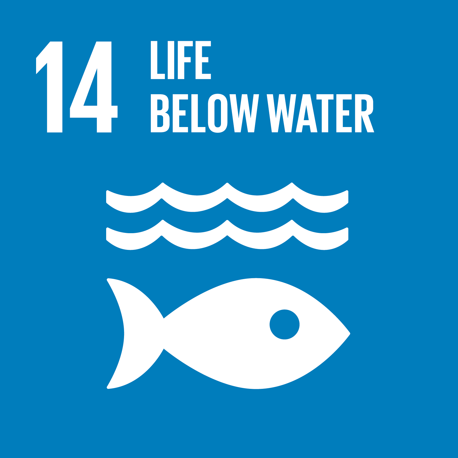 SDG 14 水下生物